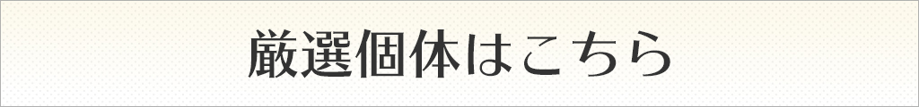 厳選個体はこちら