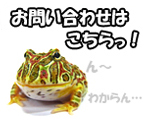 お問い合わせフォーム