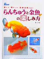 らんちゅうと金魚の楽しみ方