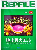 レプファイル　地上性カエル