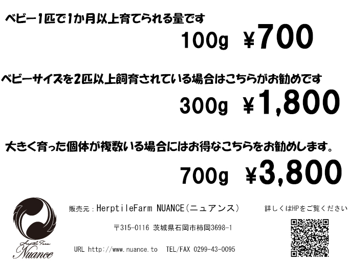 レッドタイプのツノガエル