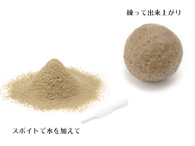 レッドタイプのツノガエル